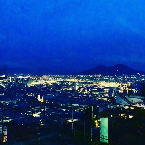 Wir führen Weine vom Vesuv!